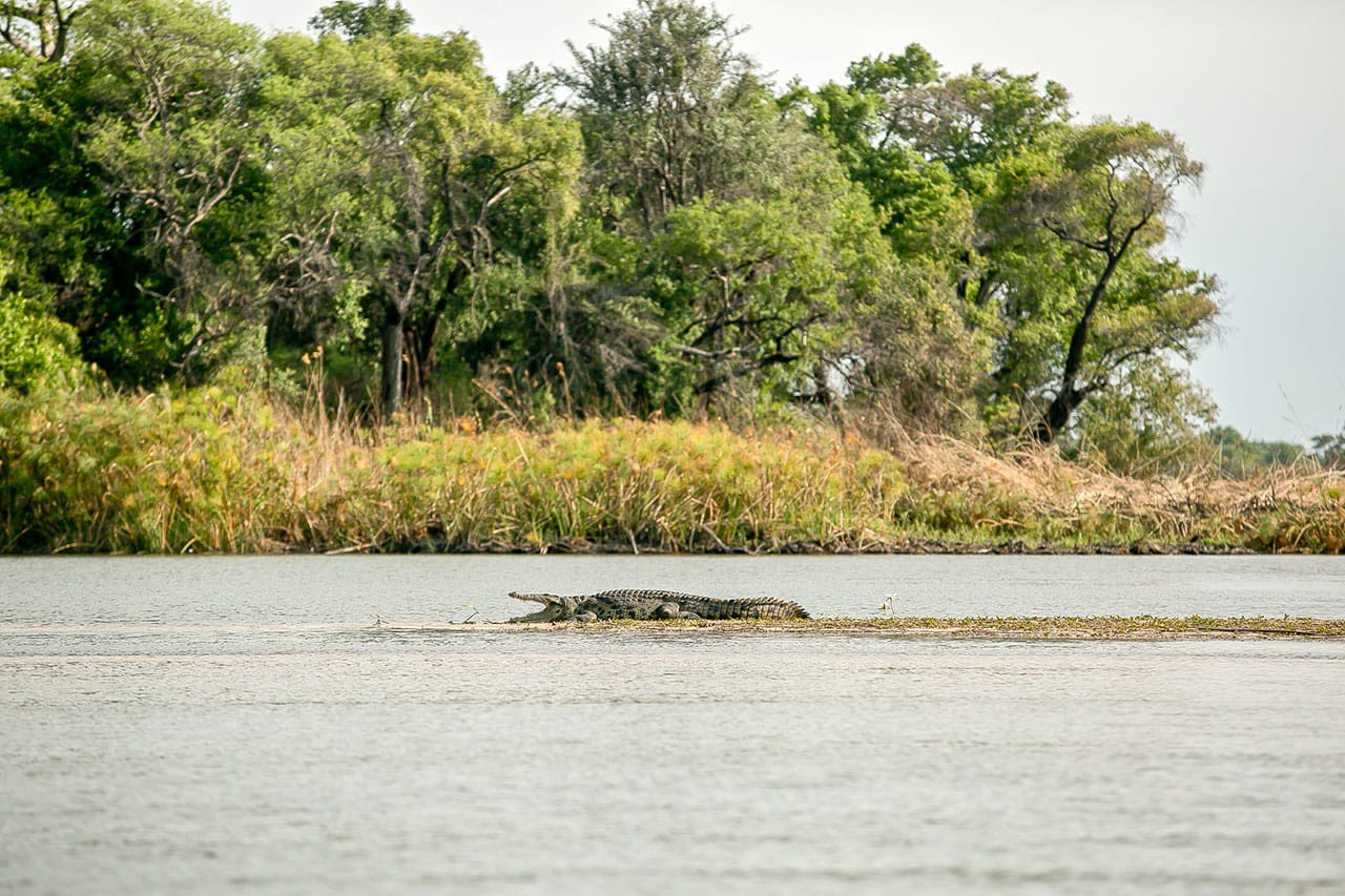 Xaro Lodge Lagoon © Lesanne Dunlop