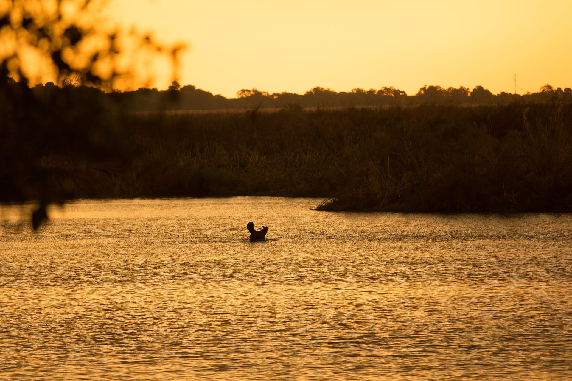 SUNSET CRUISES