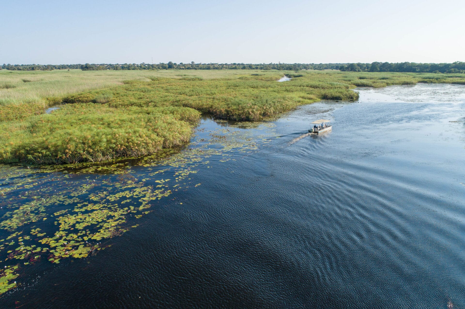 SCENIC BOAT TOURS